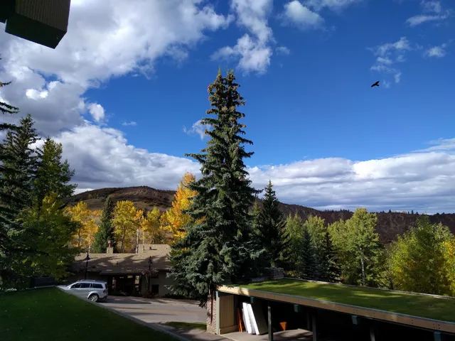 CoralTree Residence Collection Snowmass