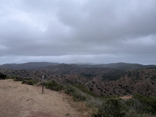 Barham Ridge Trail Peak