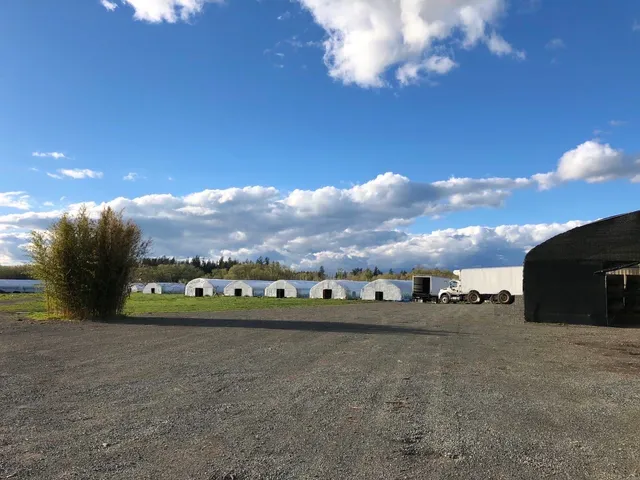 Seven River Mushroom Farm WA GA NJ , Qihe Mushroom