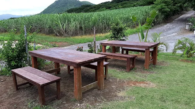 ぱいぬしま氷菓／島アイスキャンディー