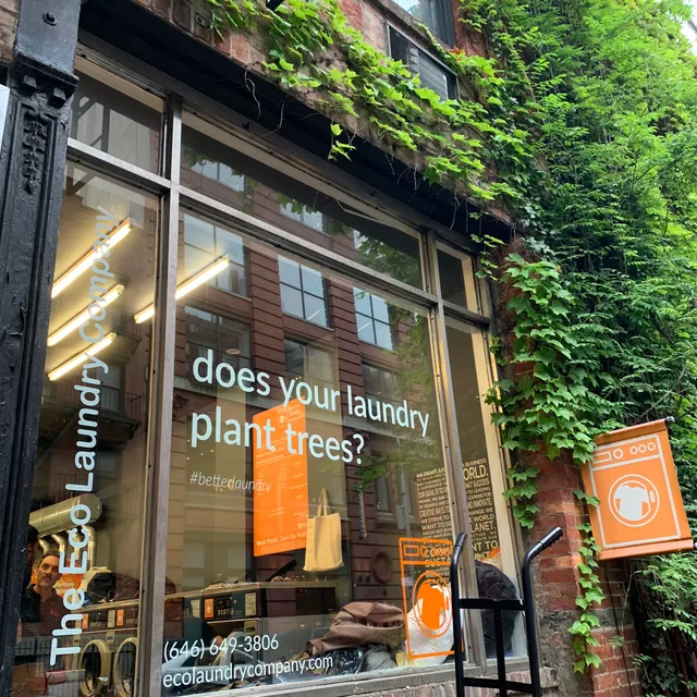 The Eco Laundry Company