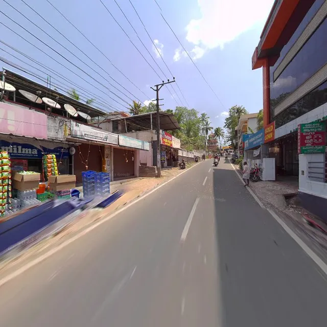 OYO 65934 Drisya Lodge