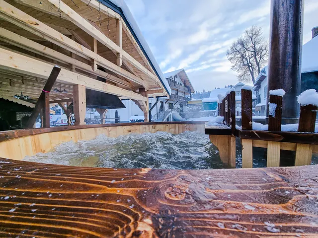 Vila Victoria Moldovița