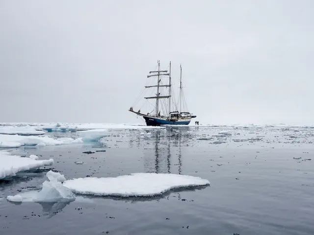 SOIL Artist Run Gallery