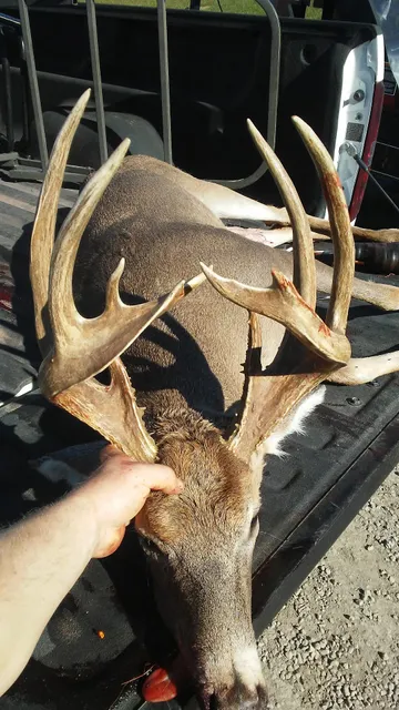 Rainey's Custom Butchering