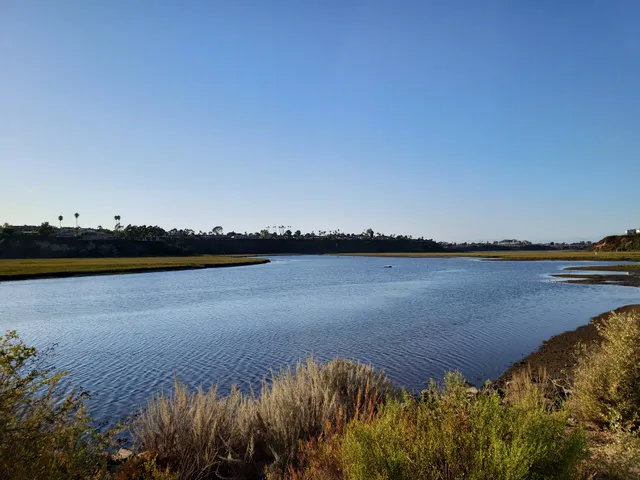 Ecological Reserve of Upper Newport Bay