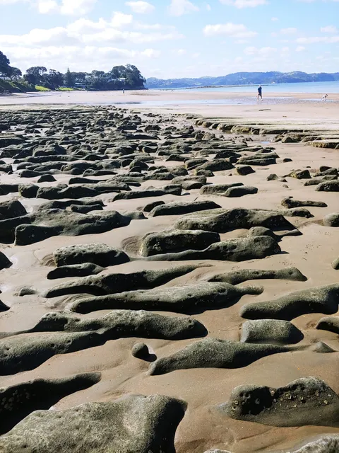 Red Beach, Auckland