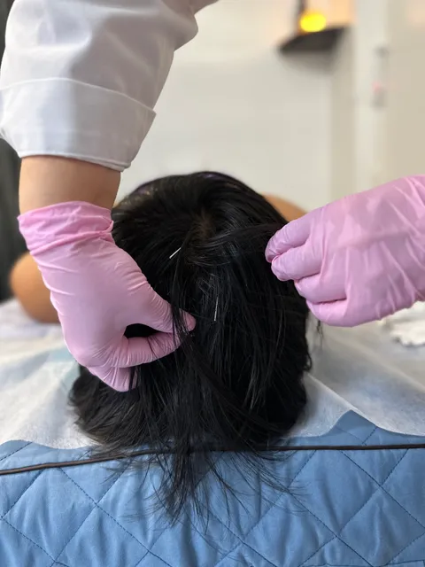 A Plus Health Care Massage & Acupuncture Therapy