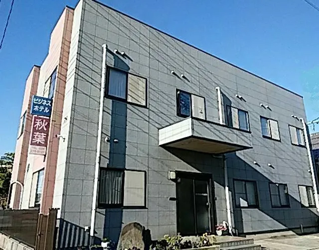 Business Hotel Akiba