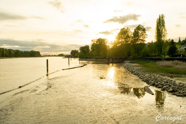 Fraser Foreshore Trail
