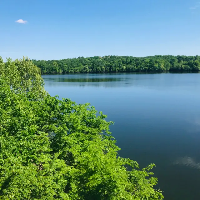 Barren River Lake
