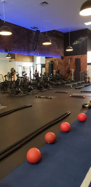 Training Mate West Hollywood