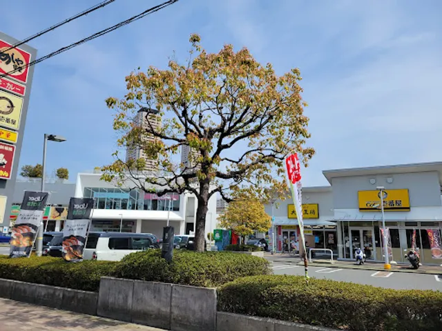 CoCo Ichibanya Kadoma-chuo-kanjosen