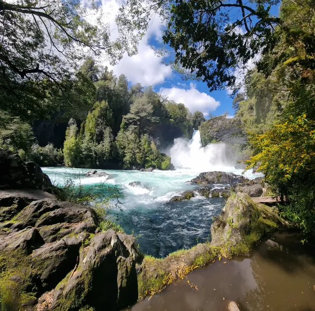 Biological Reserve Huilo Huilo