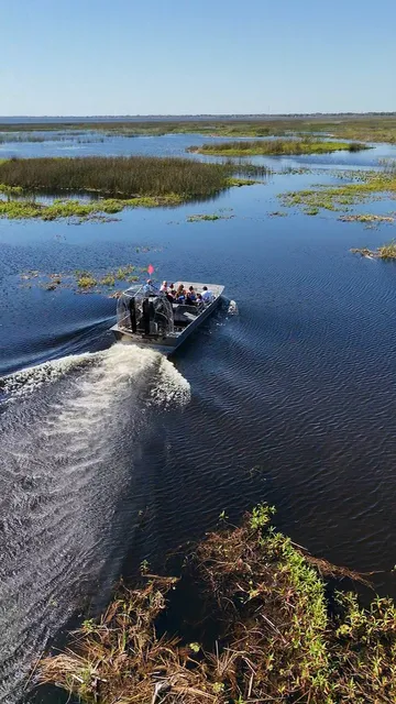 Gator Airboat Rides