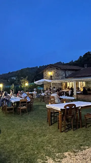 Il Vigneto Pizza e Cucina