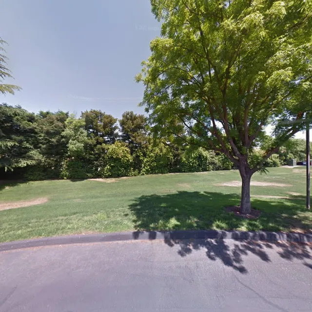 Cat Touch This, Cat Cafe