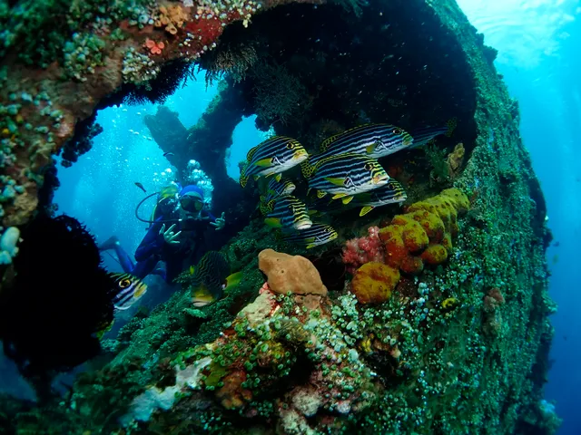 Tulamben Dive