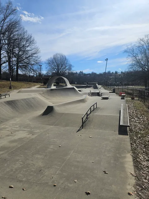 Pitcher Park Memorial Skatepark