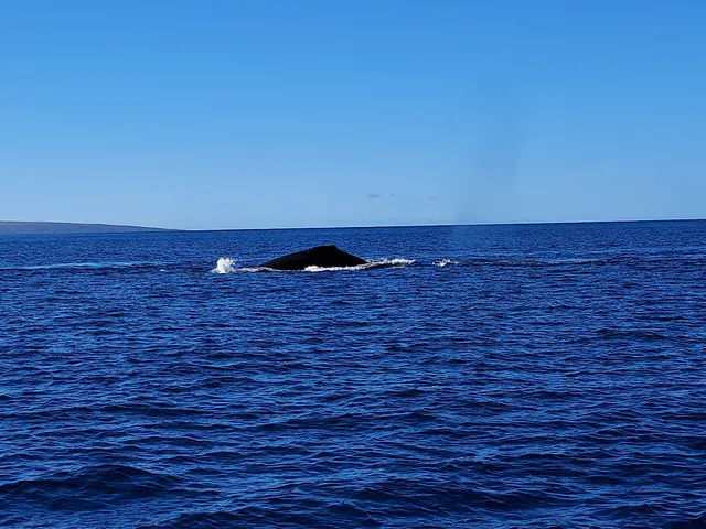 Molokai Ocean Tours