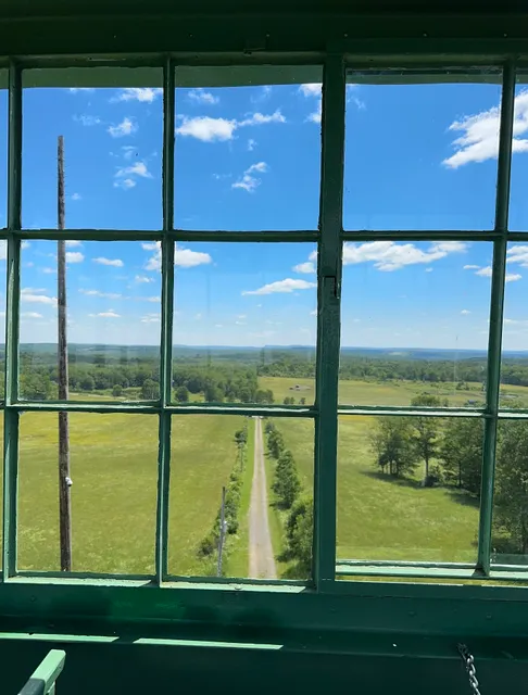 Berry Hill Fire Tower