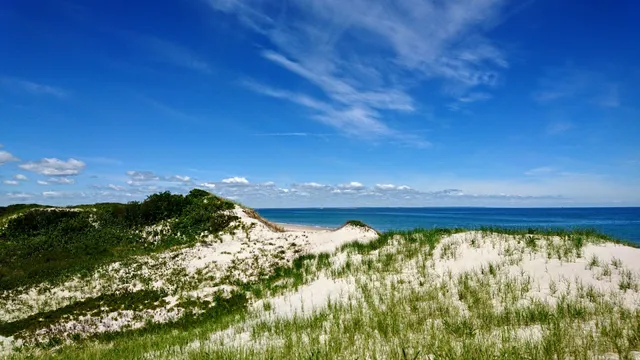 Sandy Neck Trail Head and Parking