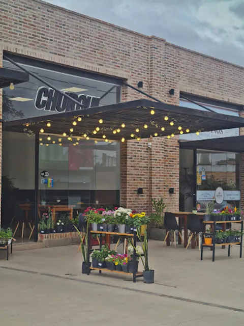 CHURQUI café y plantitas