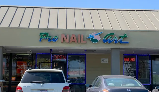 Pro Nail Art