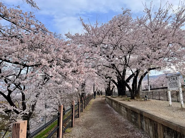 勝沼鉄道遺産記念公園（甚六桜公園）