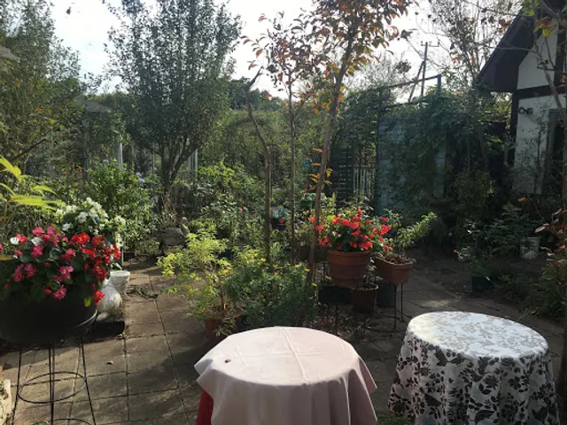 アトリエ薔薇の小径