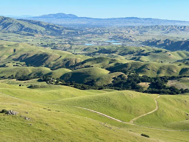 Mission Peak Regional Preserve