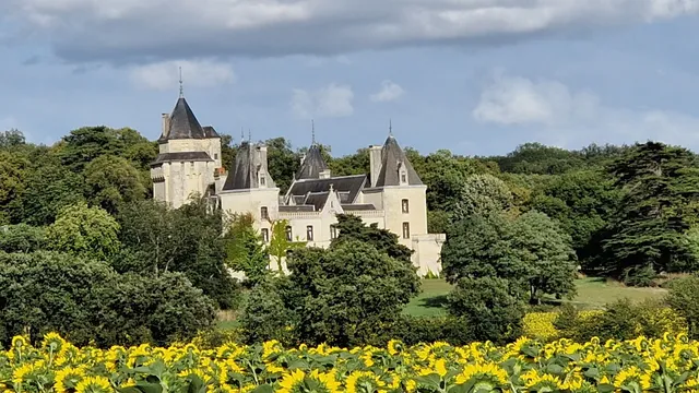 Château de Ternay