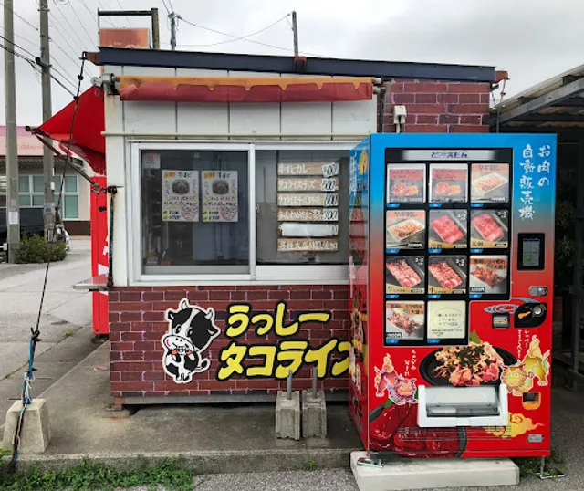 うっしータコライス