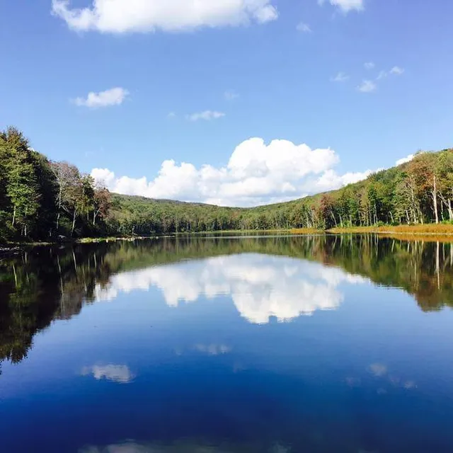 Trout Pond (Cables Lake)