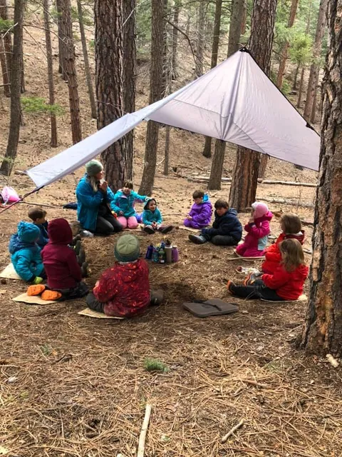 SOL Forest School