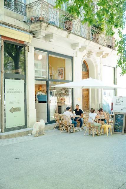 Santa Lemon | Brunch Nîmes