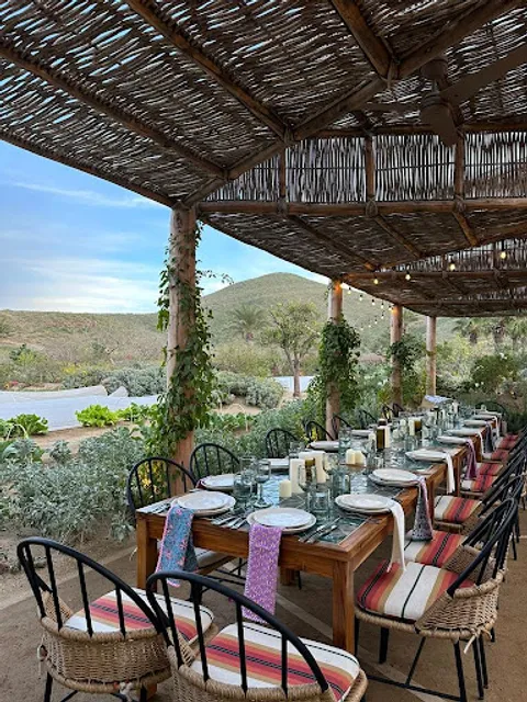 Cosecha at Hotel San Cristóbal