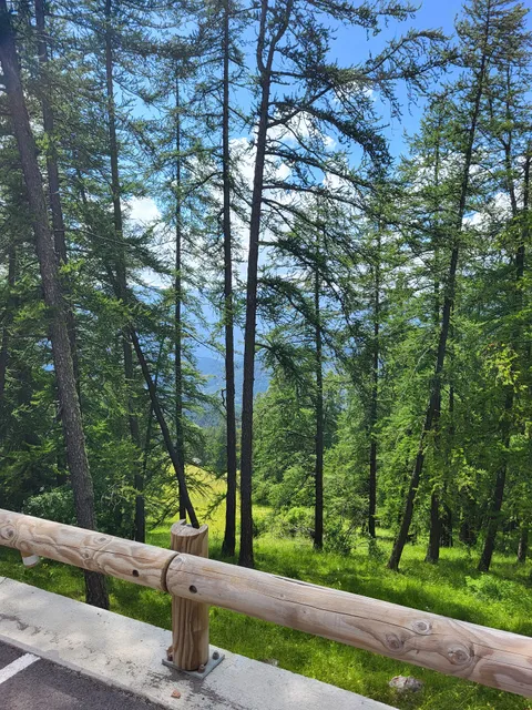 Location Valberg 2000 - Le Plaza