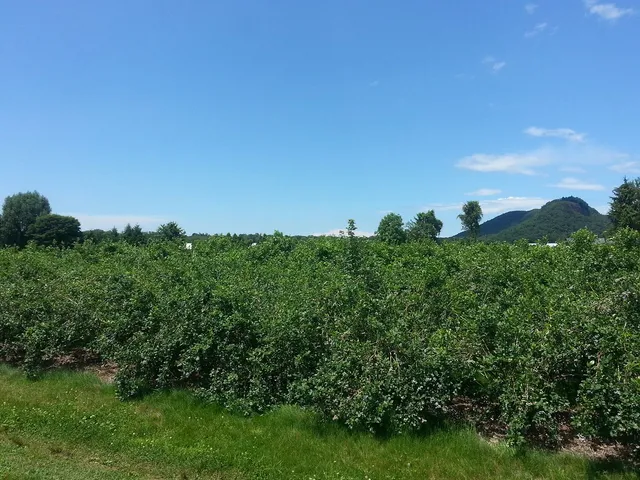 Sobieski's River Valley Farm