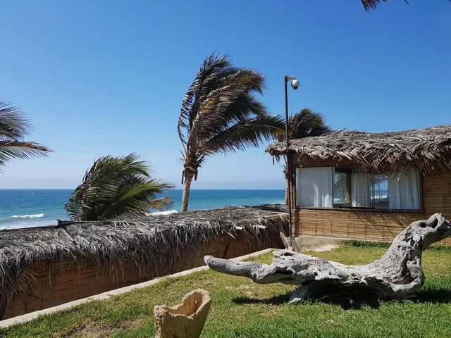 Hotel Playa Palmeras