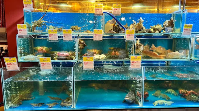 Sen Đại Việt Restaurant - Seafood - Phở