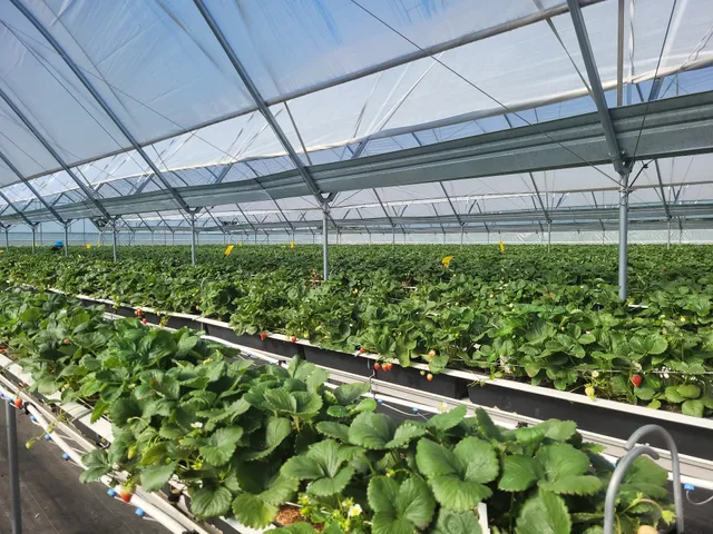 Warm Belly Farm - Fort Atkinson