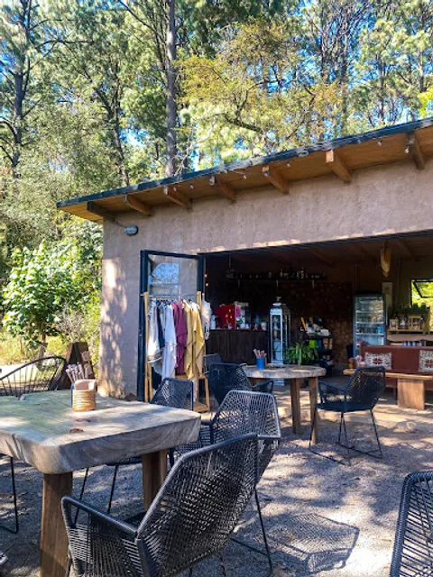 PÁJARO CAFÉ BOSQUE