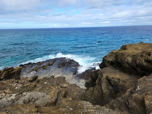 Sea Turtle Tour Hawaii