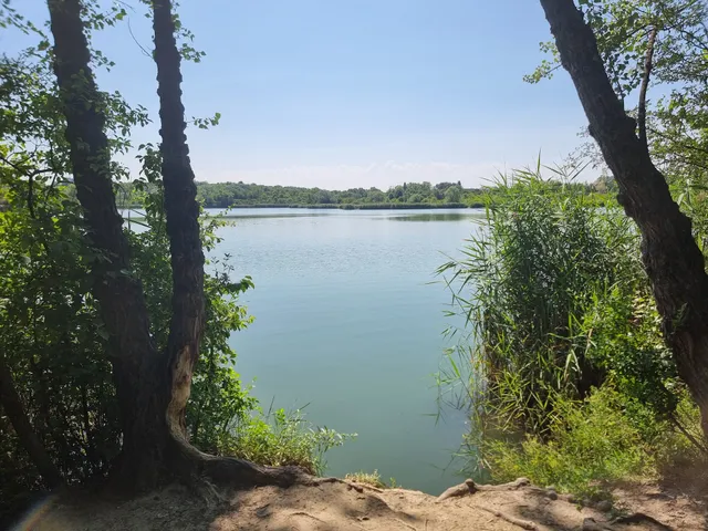 Wienerberg Teich-Ufer