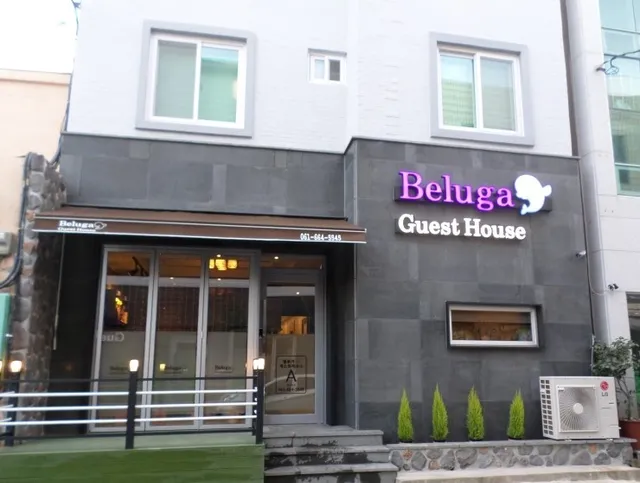 벨루가게스트하우스