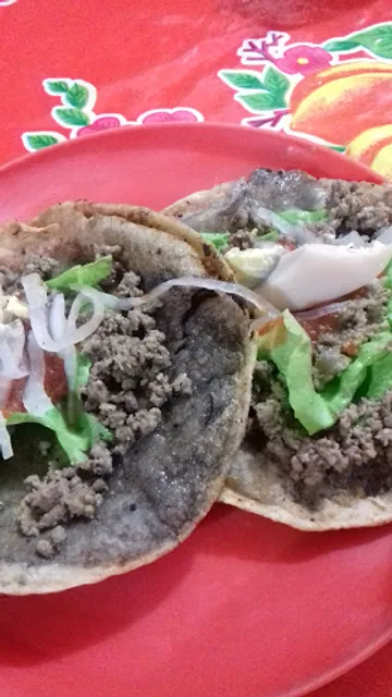 Antojitos Doña Mari Venta Panuchos, Empanadas Y Salbutes