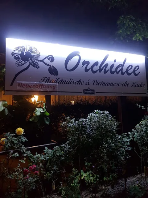 Orchidee