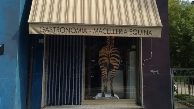 Cocchi Giancarlo Equina