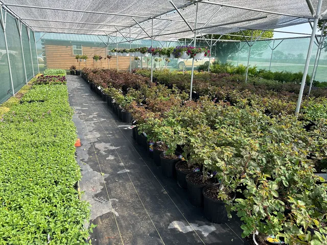 Clarita Greenhouse